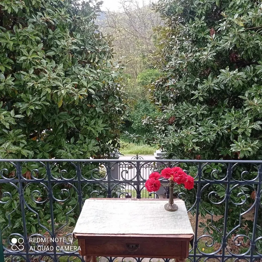 Villa Dello Scrittore Lucca 0*,